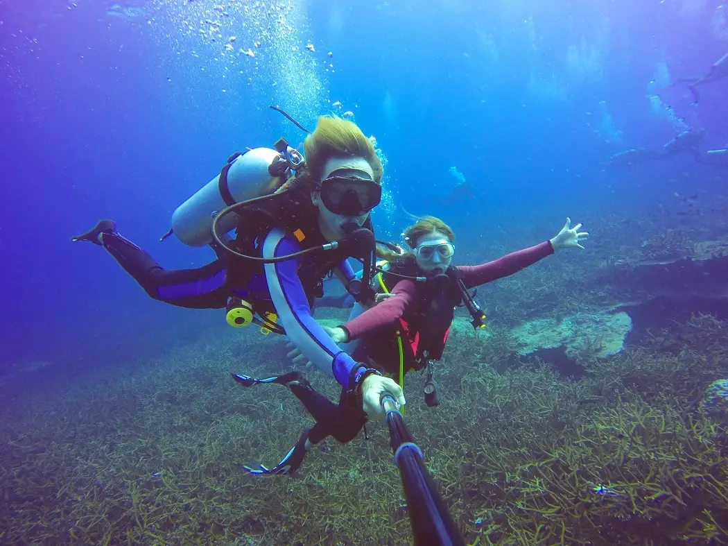 Exploring the Wonders of Scuba Diving in Cape Town
